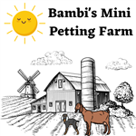 Bambi's mini petting farm